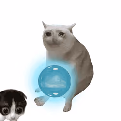 Cash Cat #1509