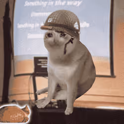 Cash Cat #9946