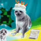 9757