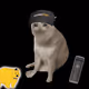 5569