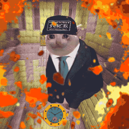 Cash Cat #7891