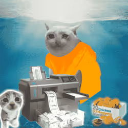 Cash Cat #4287