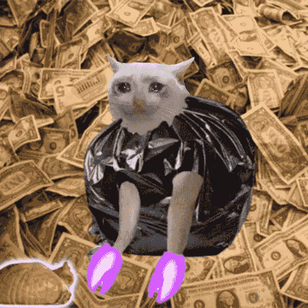 Cash Cat #698