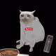masterjeeter