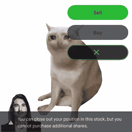 Cash Cat #6217