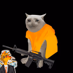 Cash Cat #3419