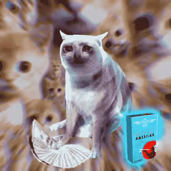 Cash Cat #9708