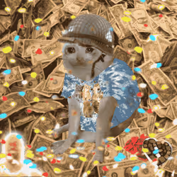 Cash Cat #7573