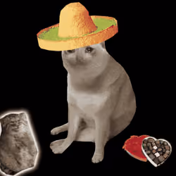 Cash Cat #3869
