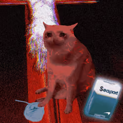 Cash Cat #9644
