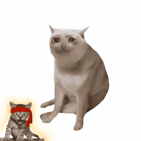 Cash Cat #9427