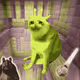 Cash Cat #2635