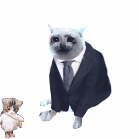 Cash Cat #787