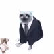 787