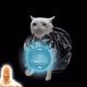 5692