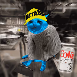 Cash Cat #5053