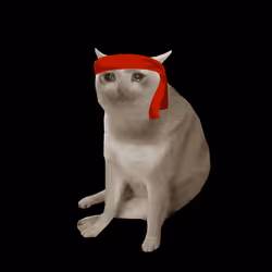 Cash Cat #4695