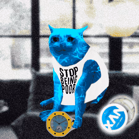 Cash Cat #4640