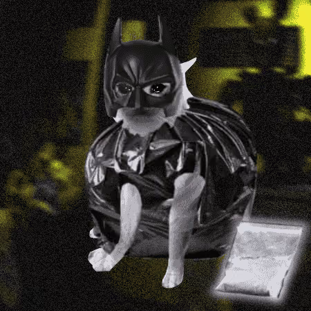 Cash Cat #2112