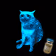 Cash Cat #7865