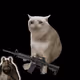 3079