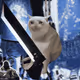 2366