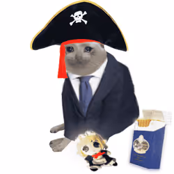 Cash Cat #6807
