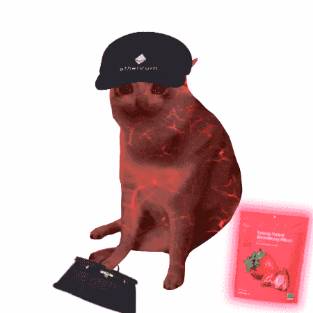 Cash Cat #9483