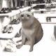 3704