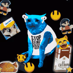 Cash Cat #3160