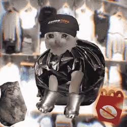 Cash Cat #5474