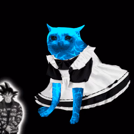 Cash Cat #2066