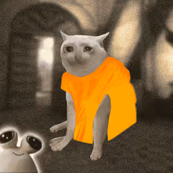 Cash Cat #2497