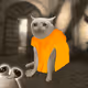 2497
