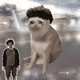 5919