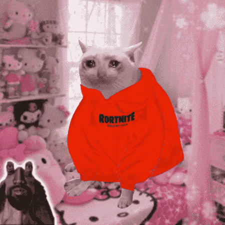 Cash Cat #5790