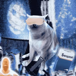 Cash Cat #7779