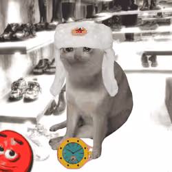 Cash Cat #9357