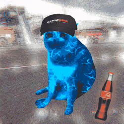 Cash Cat #405