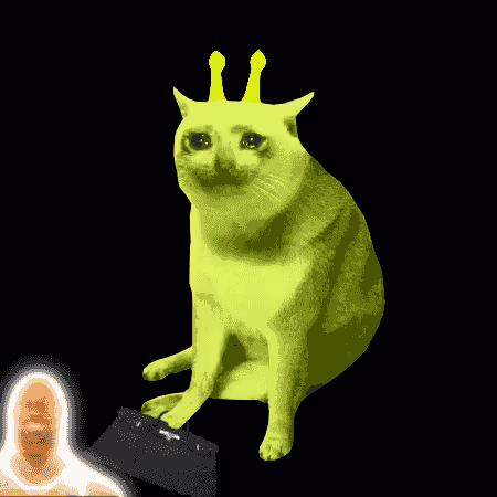 Cash Cat #6277