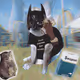 Cash Cat #2493