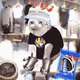 Cash Cat #9334
