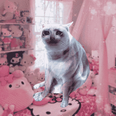 Cash Cat #2993