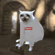 CashCatVault_