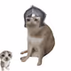 4871