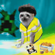 5045