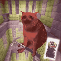 Cash Cat #6141