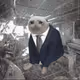 9732