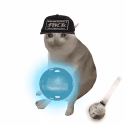 Cash Cat #5657