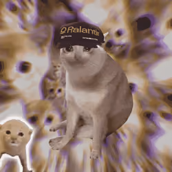 Cash Cat #7448